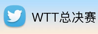 WTT总决赛 logo